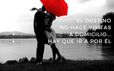 Perseguir tu sueño… la la land