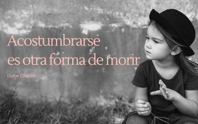 Innovación en modelos de negocio