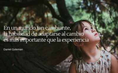 Innovación en modelos de negocio – II