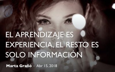 El aprendizaje es experiencia. El resto es solo información
